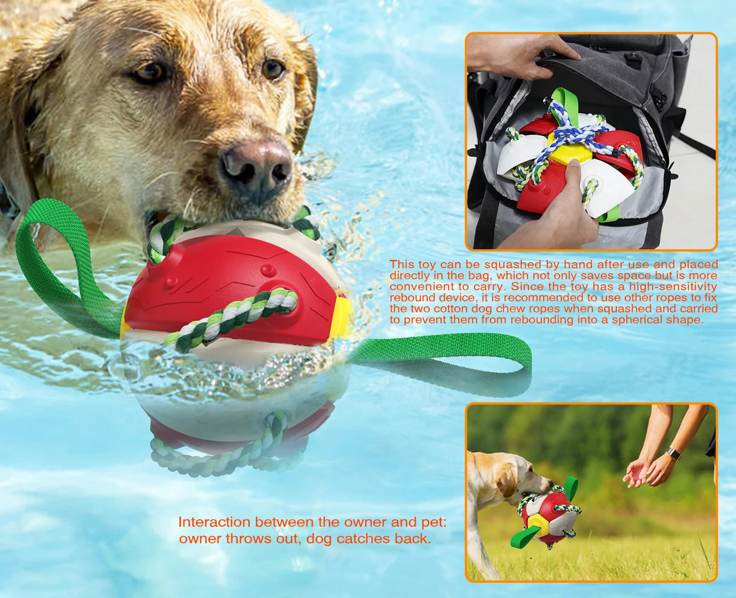 Interaktives Hundespielzeug