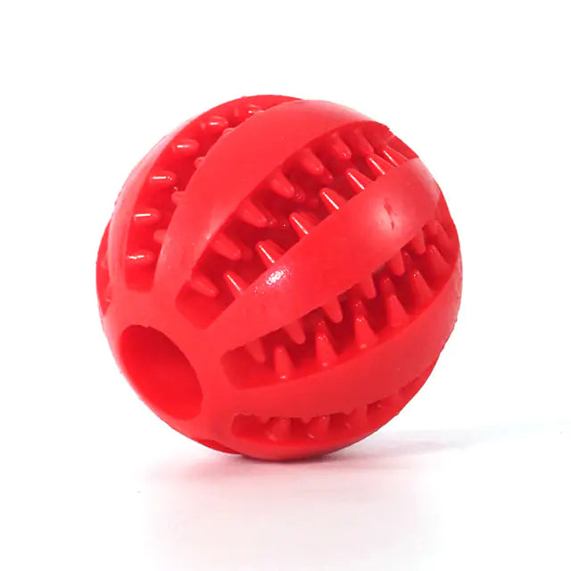 Robuster Hundeball aus Naturkautschuk