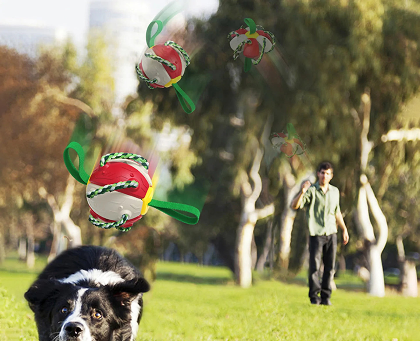 Interaktives Hundespielzeug