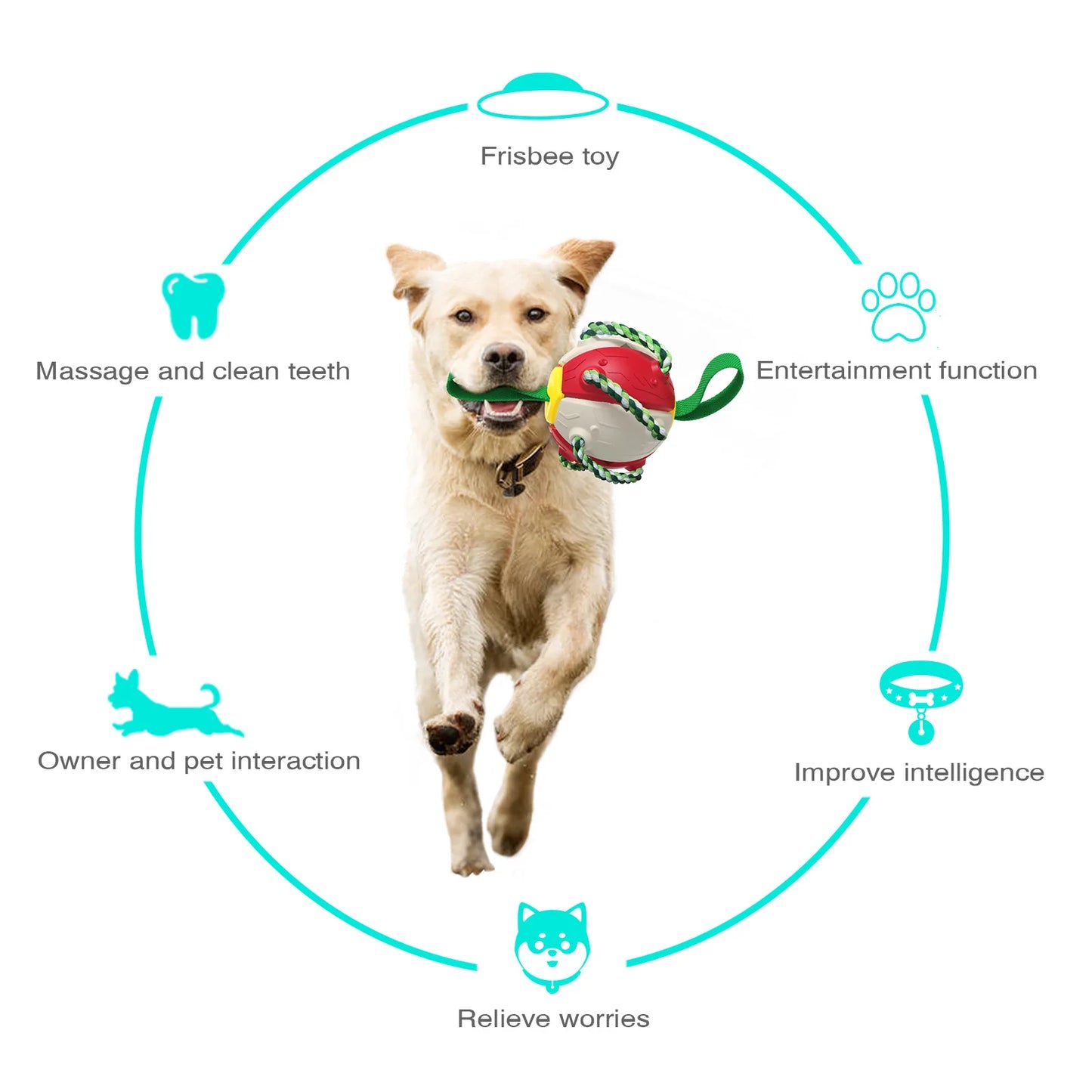 Interaktives Hundespielzeug
