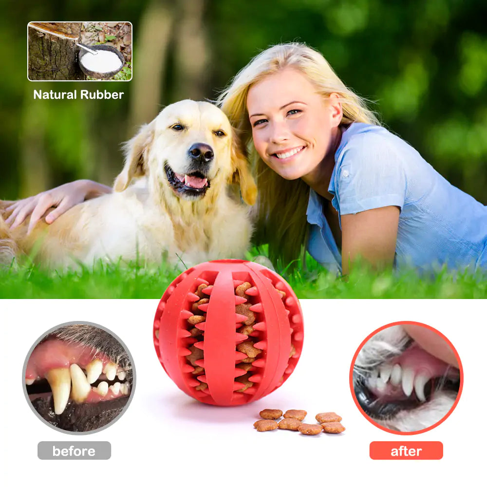 Robuster Hundeball aus Naturkautschuk