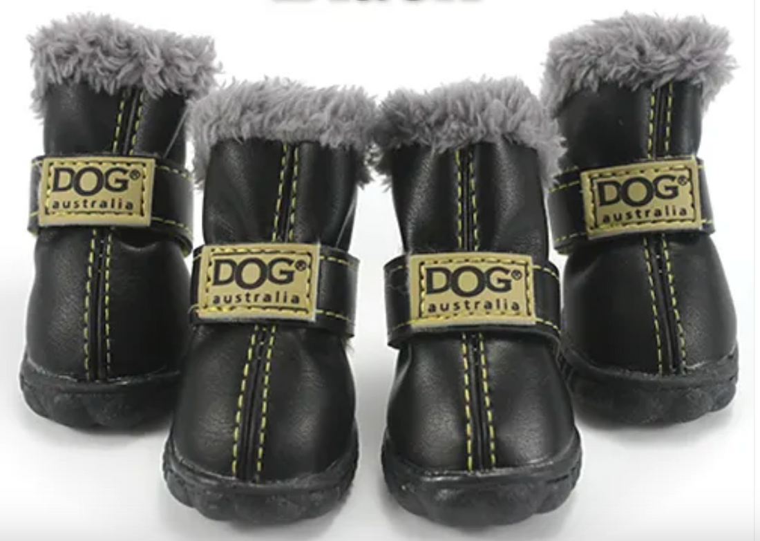 Hundeschuhe