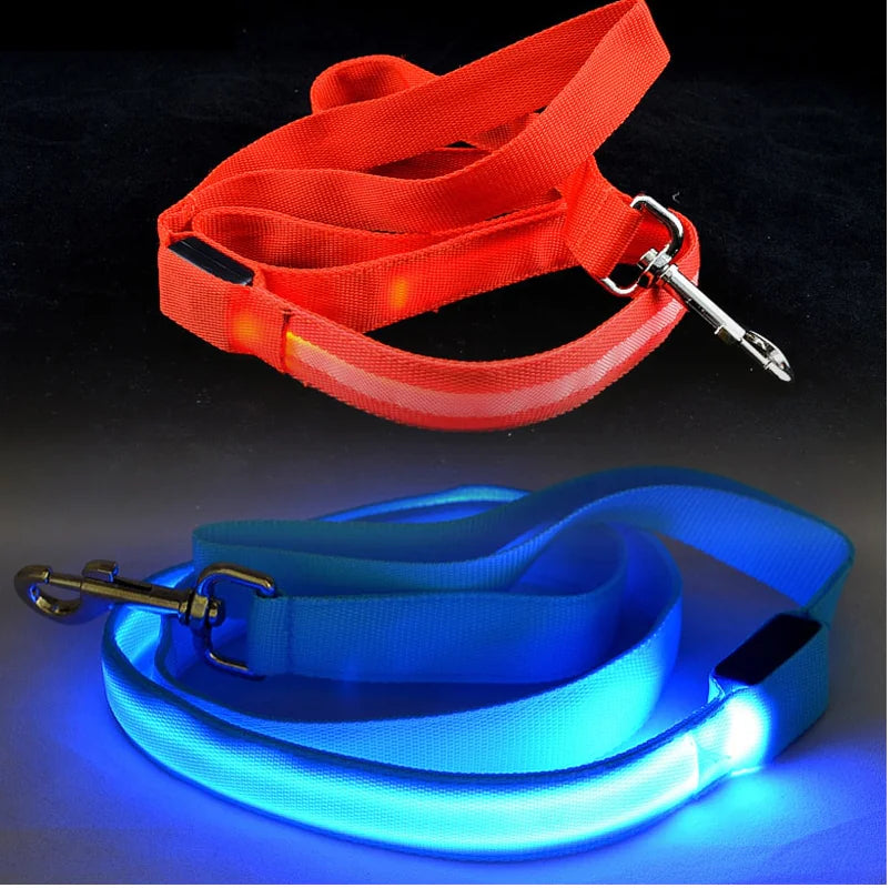 Reflektierende LED-Hundeleine