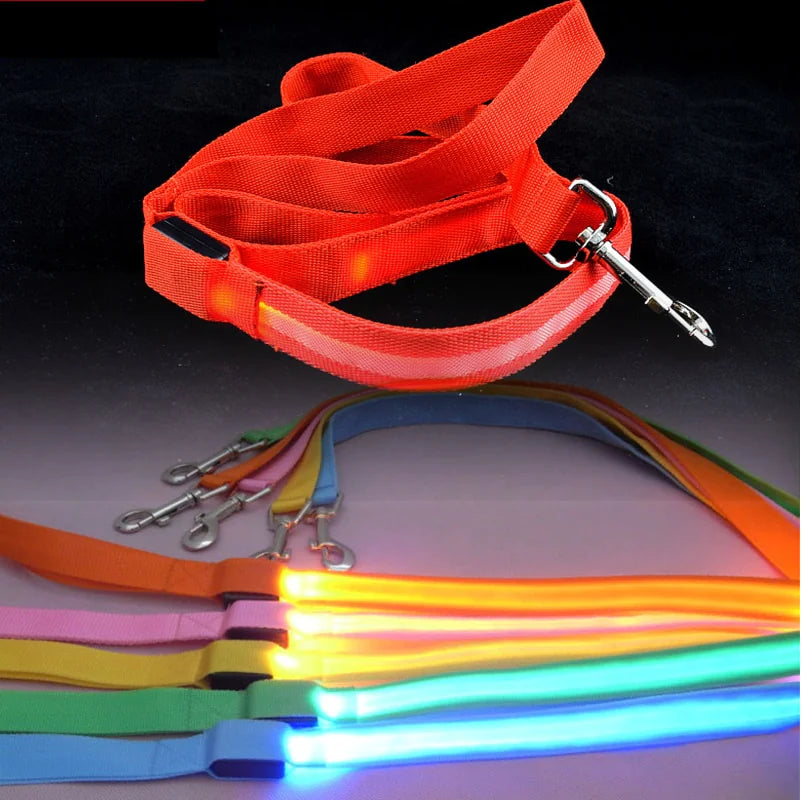 Reflektierende LED-Hundeleine