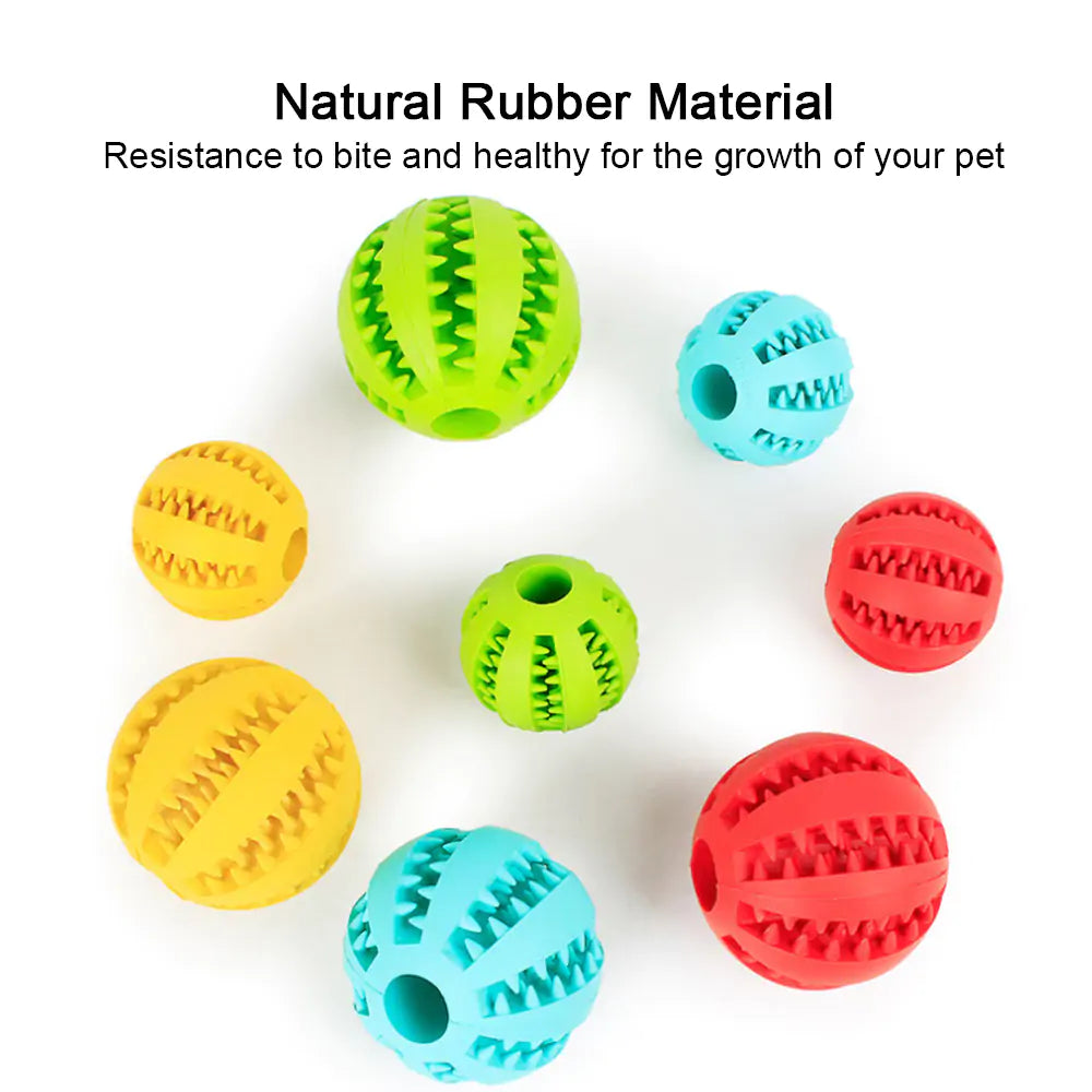 Robuster Hundeball aus Naturkautschuk