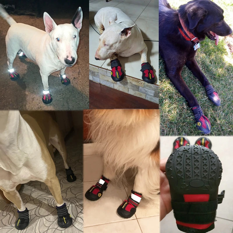 Wasserfeste Hundeschuhe