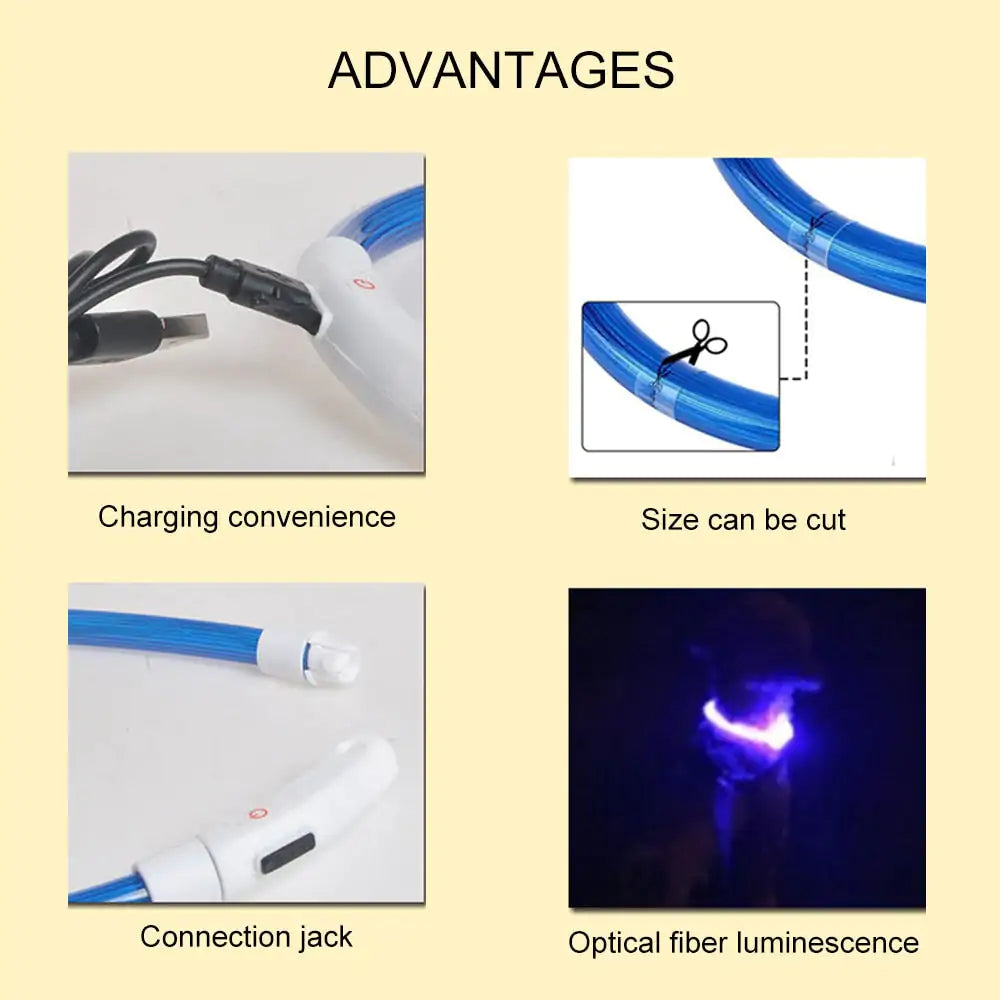 LED Hundehalsband