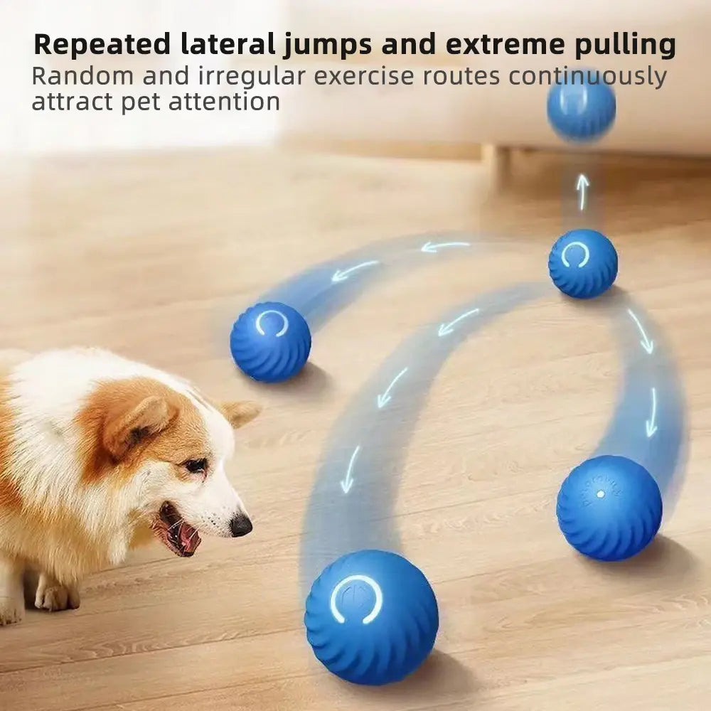 Interaktiver Spielball