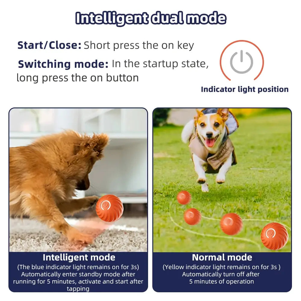 Interaktiver Spielball
