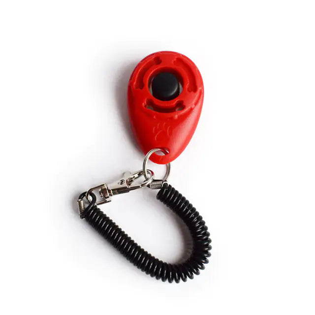 Clicker für Hundetraining