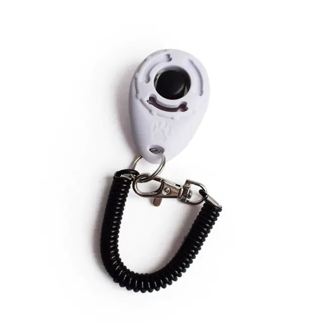 Clicker für Hundetraining
