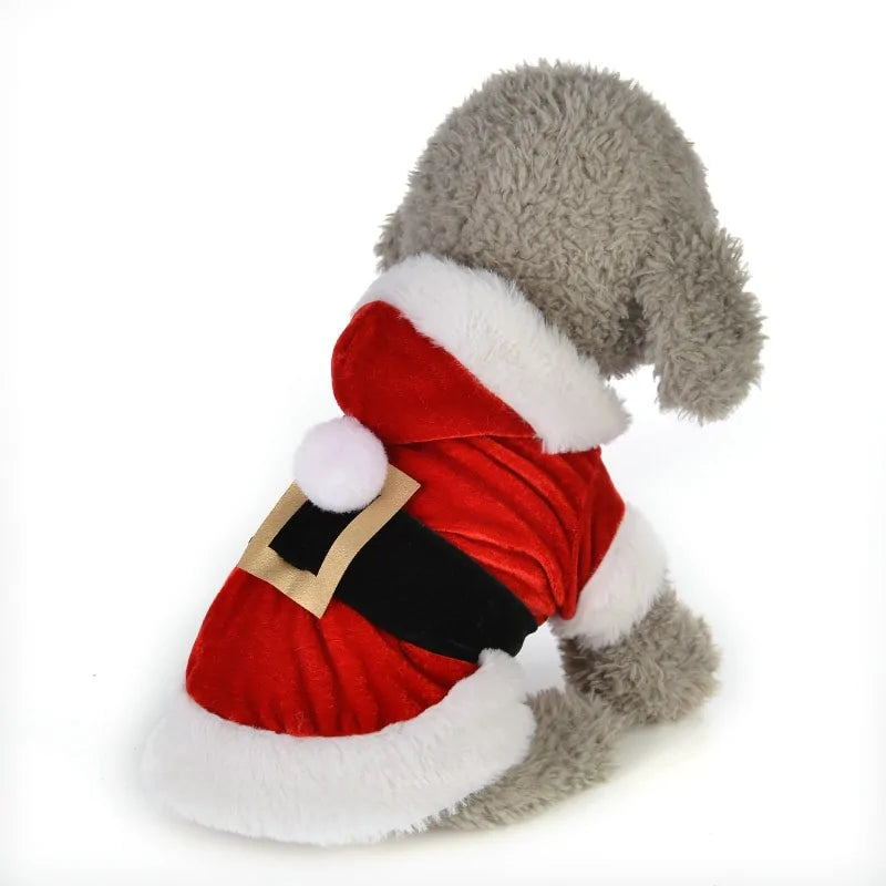 Weihnachtskostüm für Hund und Katze