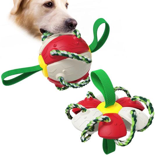 Interaktives Hundespielzeug