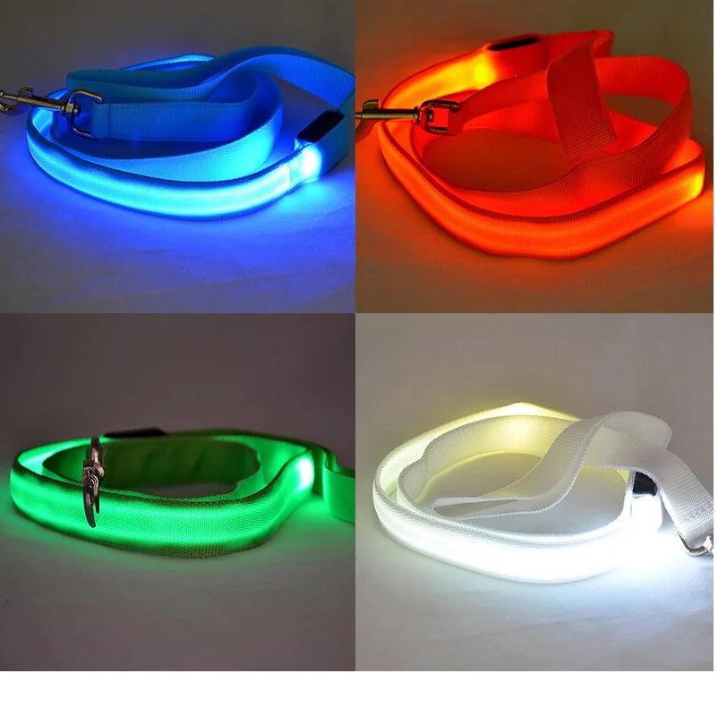 Reflektierende LED-Hundeleine