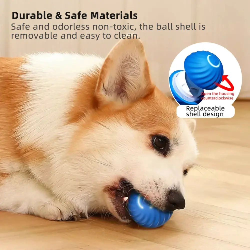 Interaktiver Spielball