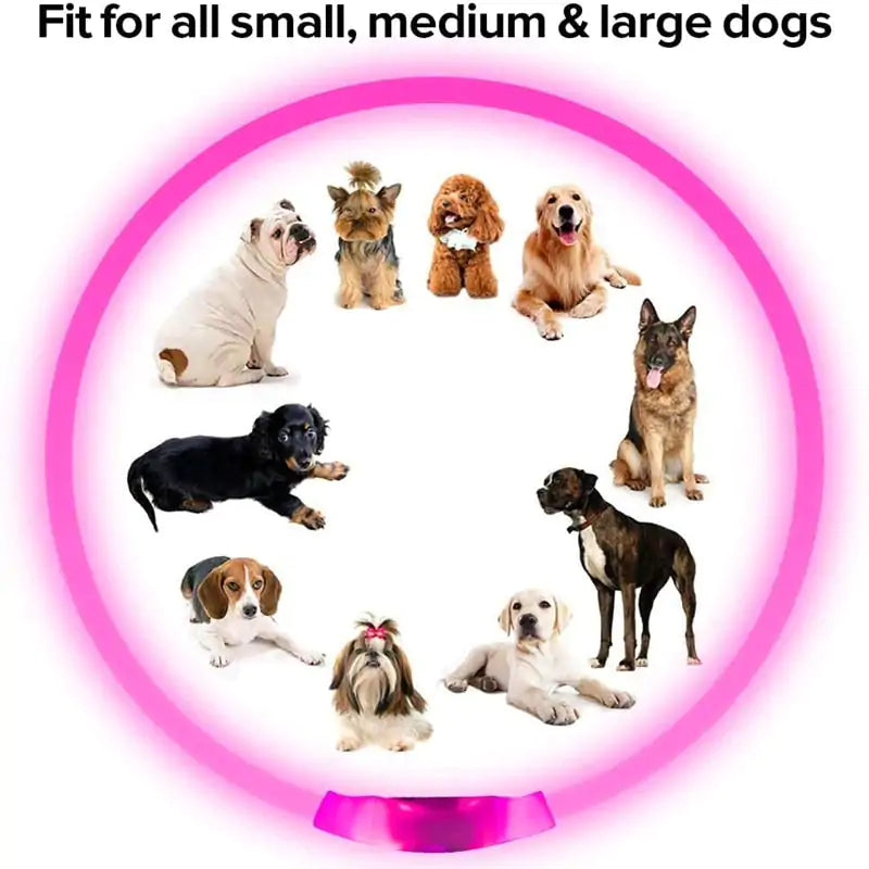 LED Hundehalsband