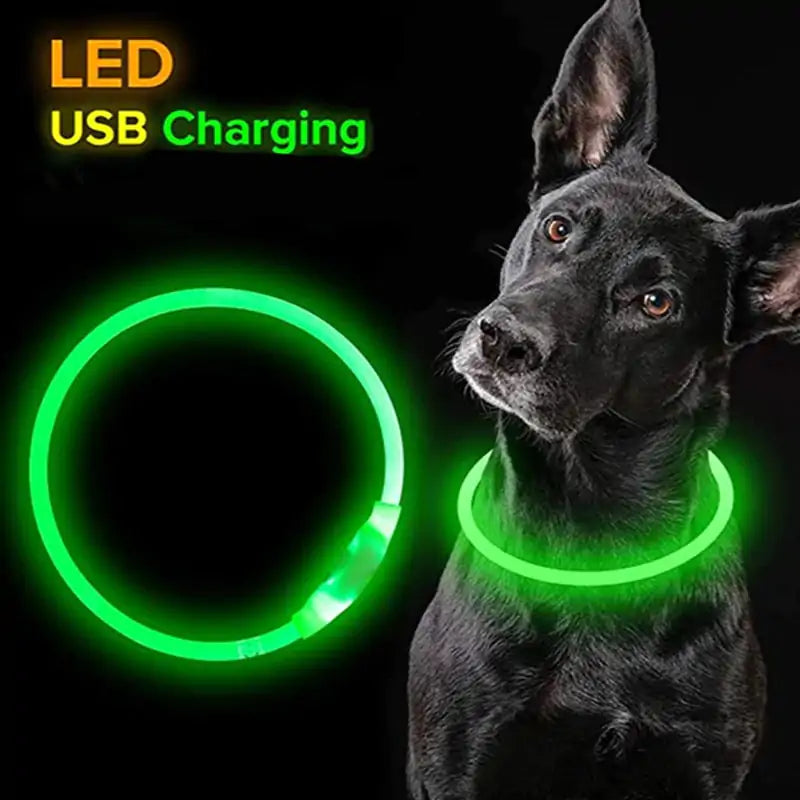 LED Hundehalsband