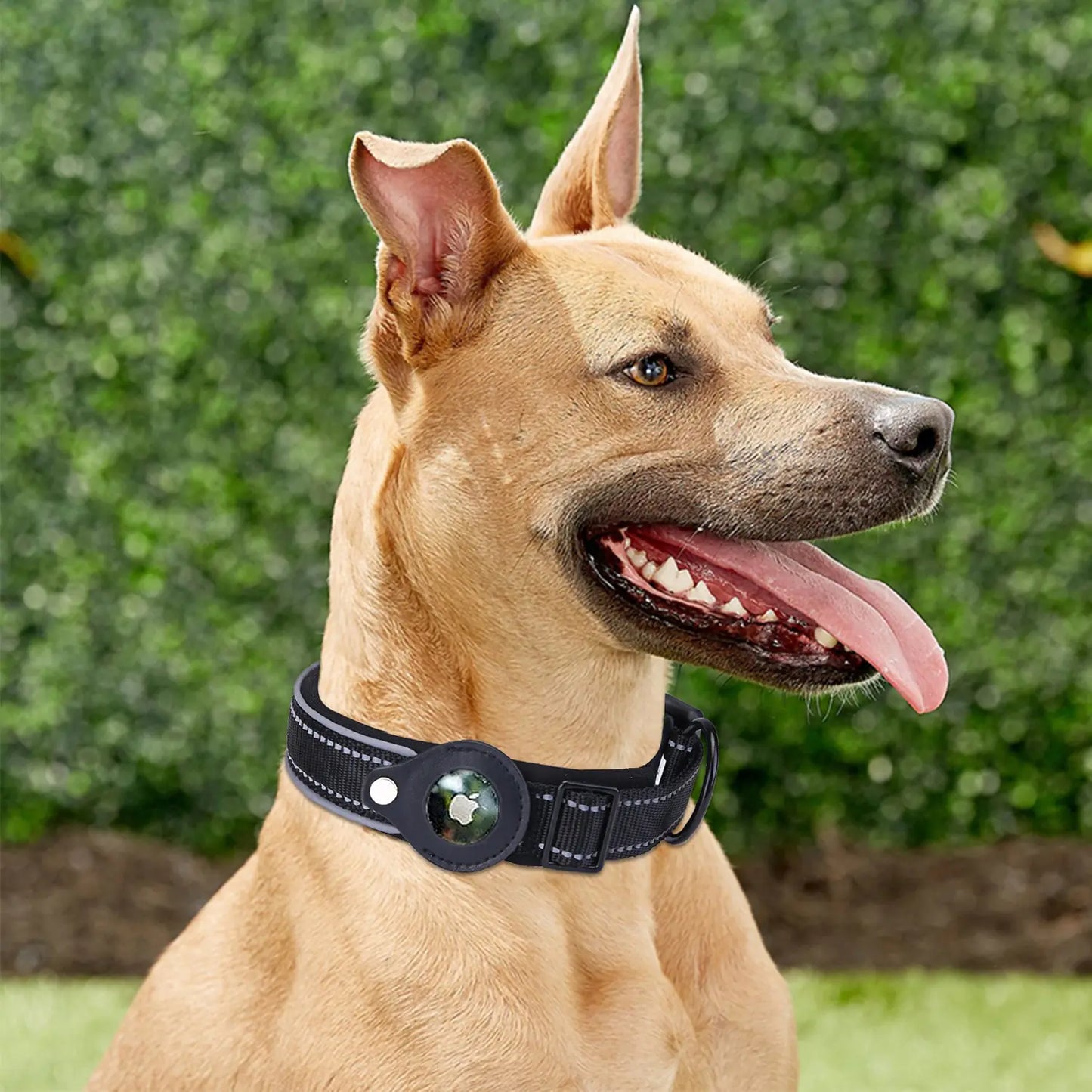 Hundehalsband für Apple Airtag