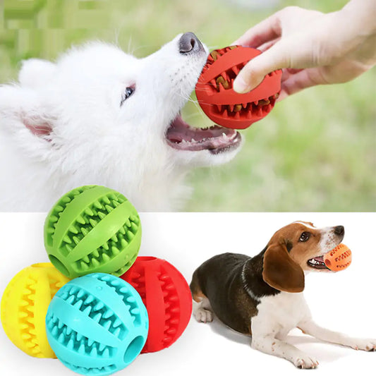 Robuster Hundeball aus Naturkautschuk
