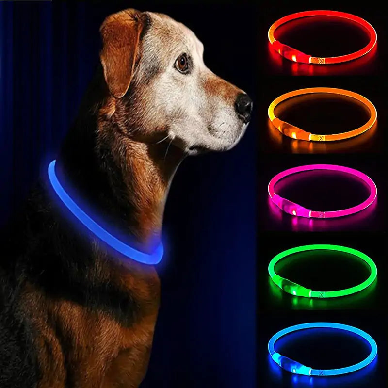 LED Hundehalsband